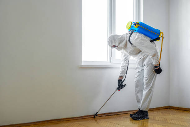 Best Real Estate Pest Inspections  in Oroville, WA